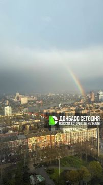 ������ ��� ��������. MAX | TG | �����