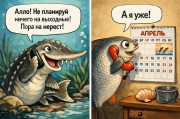 ���� ������ ����! �������� ���� � ��� ���������� ��� ��������� ������� ����