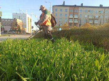 Рабочие зеленого строительства приступили к покосу травы
