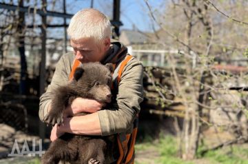 В Мариупольском зоопарке пополнение: ДАН увидел новых обитателей