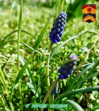 Александр Шатов: Гидрометцентр сообщил о погоде в Шахтерском округе