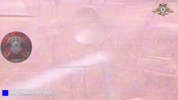 68 ��� ���������� �������, ������� ��� � ������������ ��� � ������������, ��������� � ���������������