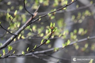 Погода на новых территориях России