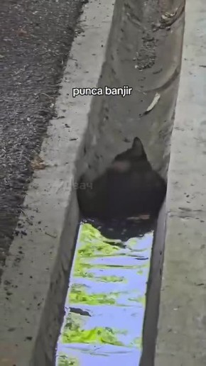 �� �����, ��� ������� ������� ���� � �������! ���������, � �������� �������: