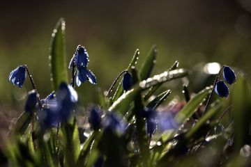 9 апреля в республике переменная облачность, днем кратковременные дожди