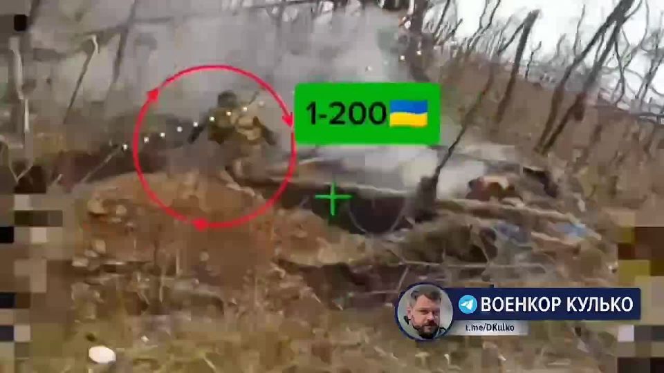 ������� ������: �� ���� ����� ���������� ����� 30 ��������