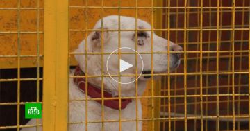 �������� ������� ����� 10 ���� ������ ��� �������� �� ������������ ������� � ���