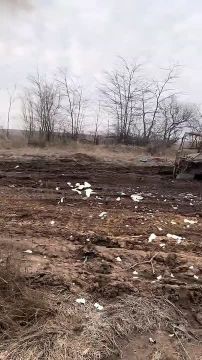 ������������ �� ���������� ����������� ��������������� ����� ���, ������� ������������ � ����� FPV ������