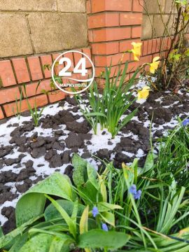 ����� ������ �������� �������� �� ���������