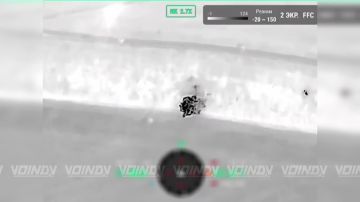 ��������� ����� ���� ���������� ����������� ���� 656 ��������������� ����� 29 ����� ����������� ����� "������", ����������� �.�. ����������