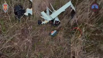 ������������ ����� ��� � ���� ����� ���������������� ������� ������: