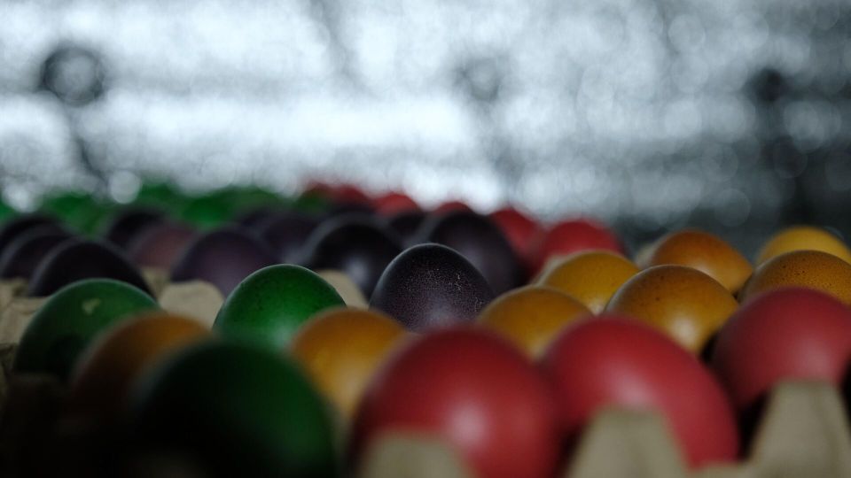 "������� ������, ��� ����� ������������": ��� �������� ����� � ���������� ��������