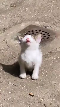 ��� �� ������� �������� ���� ������� ��������� �� ��������