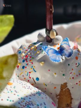 ����� ��������: ����������� ��������� ���!