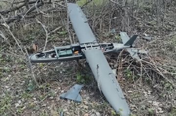 ������ �������� ������� �� ������ 211 ������� ���������������� ����