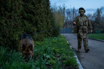 В ДНР спецназ Росгвардии проверил церкви и храмы перед праздничными богослужениями