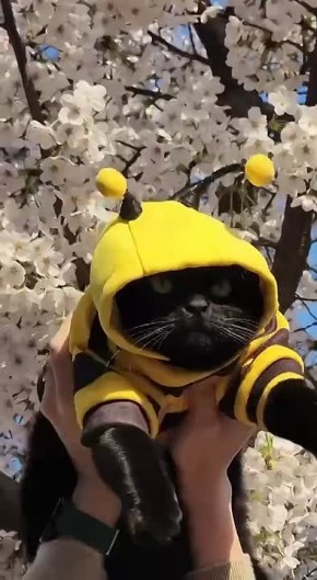 ��������! � ����������� ���������������� ����� ������� �����!