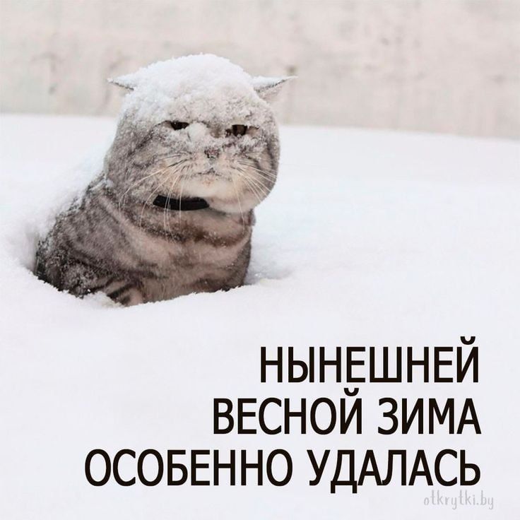 ��������� �������������� �������� � ��� �� ������