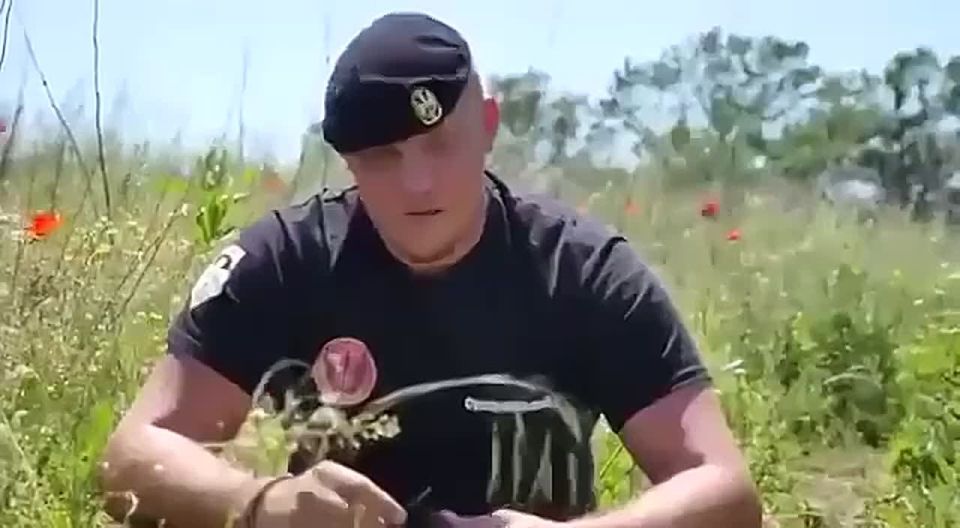 ���� ��������: 12 ��� ����� � �������� �������� �����