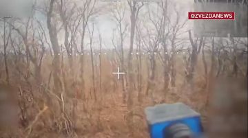 ���� ����� �������� ��������� ���������� �� ������������� ����������� �� ������ �� �������� ����, �� � � ������� ������� ���