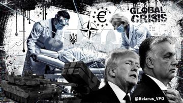 ������������ ����������. ������������� �������� � ���� ����������� ����������� �������� ��������������