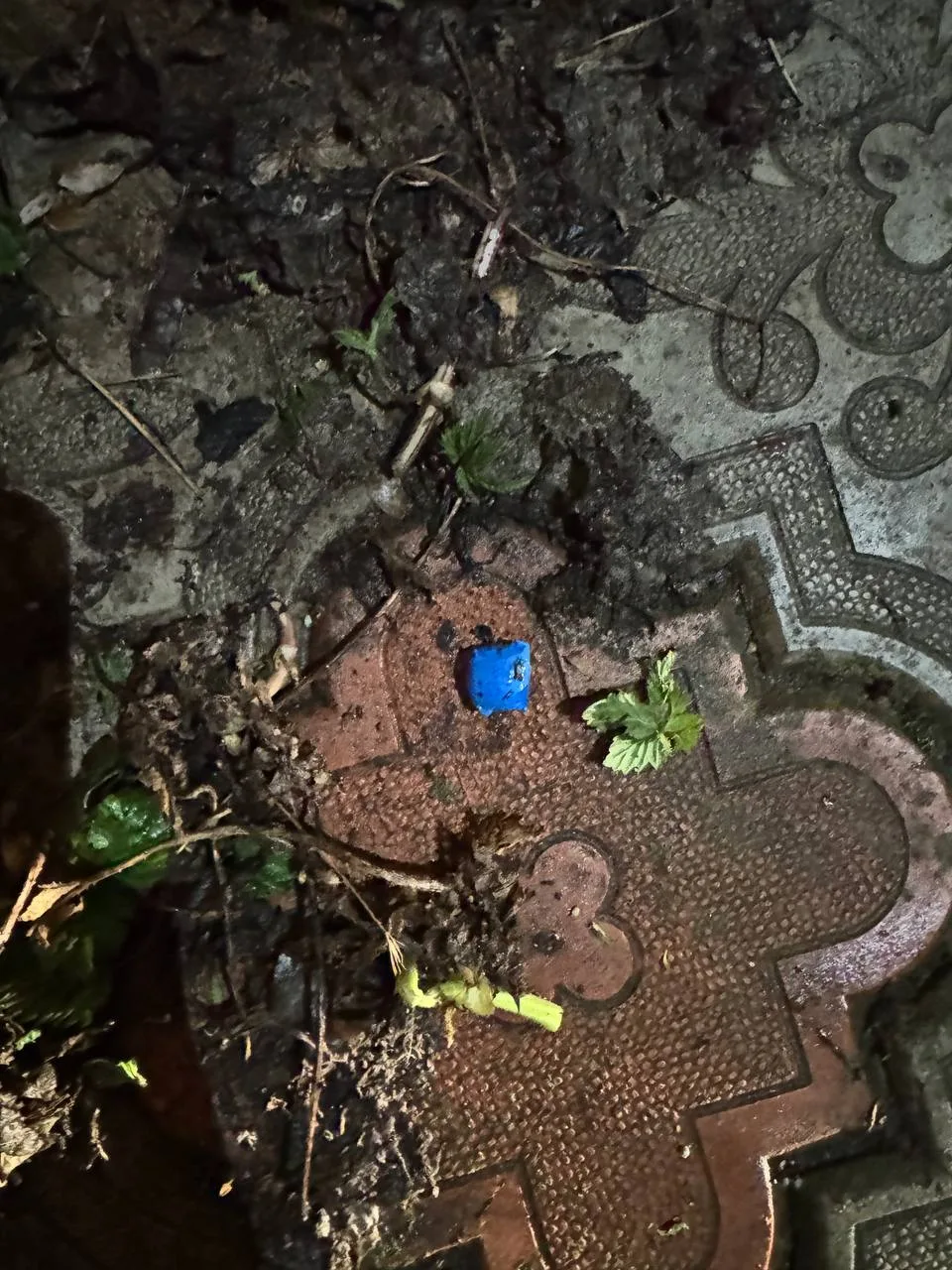 Полицейские пресекают незаконный оборот наркотиков