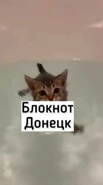 Из-за блокировки Telegram перестают работать полезнейшие ресурсы