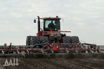 �������� �����: � ��� ������� ������� ����� 39 ����� ��������