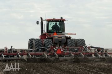 �������� �����: � ��� ������� ������� ����� 39 ����� ��������