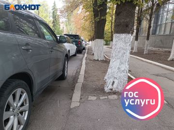 «Госуслуги» в помощь: чем портал может быть полезным автомобилисту