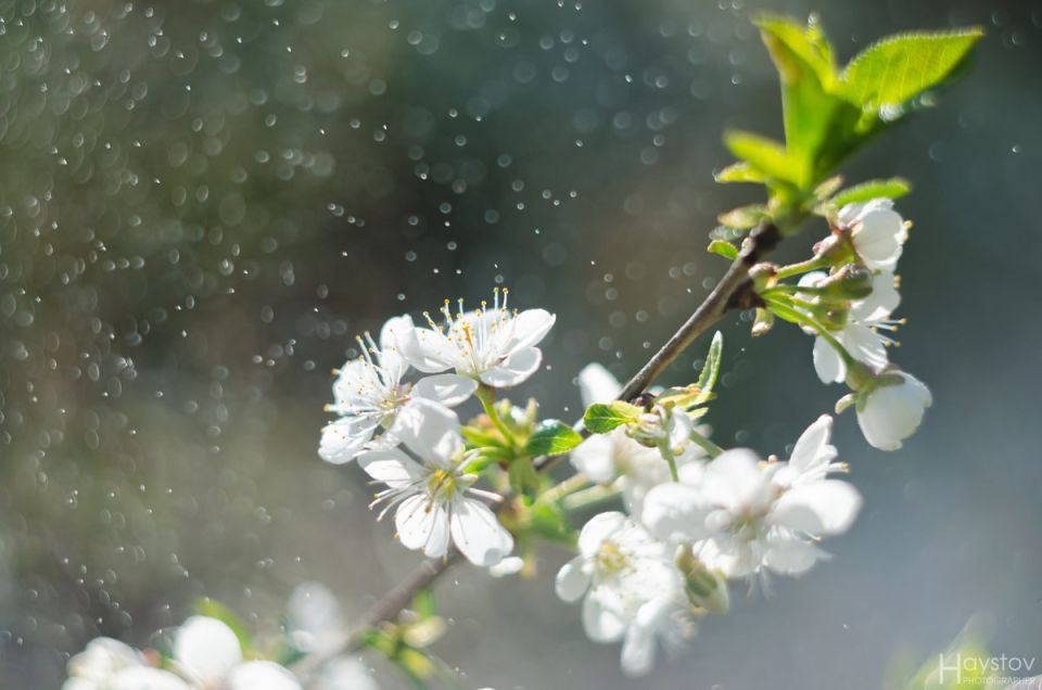 ������ ��������: ������������� ��������. 14 ������ � ���������� ���������� ����������, ����� ��� ������������ �������, ���� ������� ��������� �����