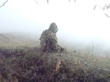 ���������� �� ���������� � ������ �������� � ���� ���