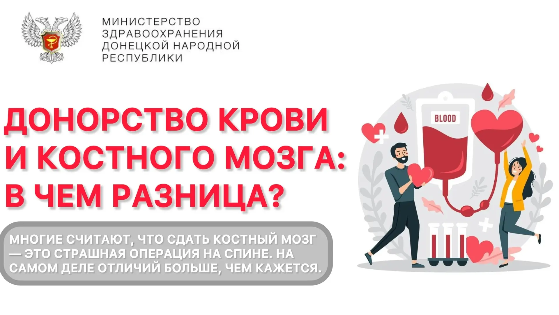 Донорство крови и костного мозга: в чем разница?