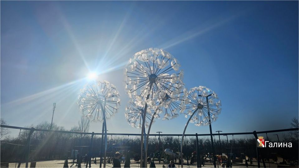 ����� ��������: ������ ����, ��������!. #�������� #������������������ #���������������