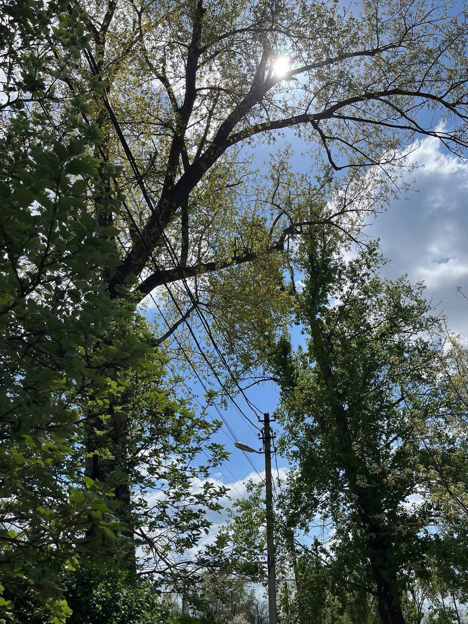 ДОНБАСС В ОБЪЕКТИВЕ. Я, Иващенко Мария, юнармеец отряда ВПК "Пламя", местного отделения городского округа Харцызска СШ № 4, принимаю участие в фотовыставке «Донбасс в объективе» Весна напоминает нам, что после любой зимы...