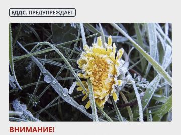 По данным (ФГБУ «УГМС по ДНР»), во второй половине ночи и утром