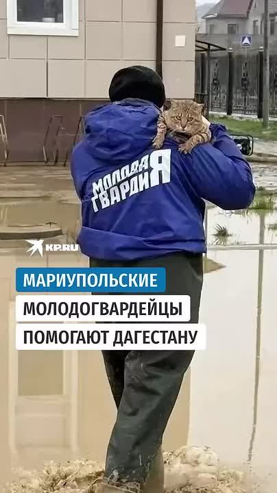 ������������� ��������������� �������� ��������� ���������
