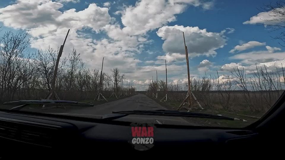 ����������� �����������������: ���� �� ������� ������������ �������