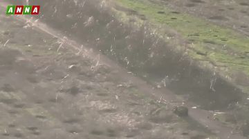 Артхаусные кадры дороги на Доброполье