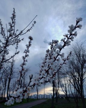 ������ ����, ������� ��� ���!