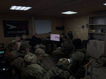 Теория — это то, что многие пытаются пропустить