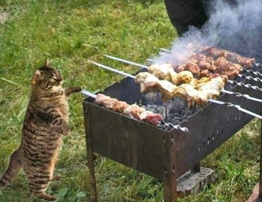 ������� �� ���� � � ������ �������������: �� ������� �� ����� ����� �������� ����� �� 15 ����� ������