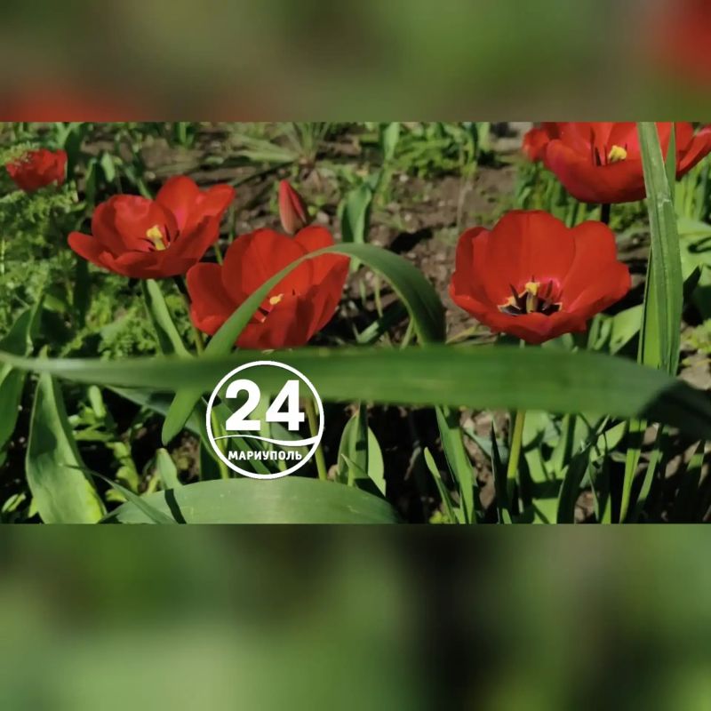 � ��������� - �������� �����
