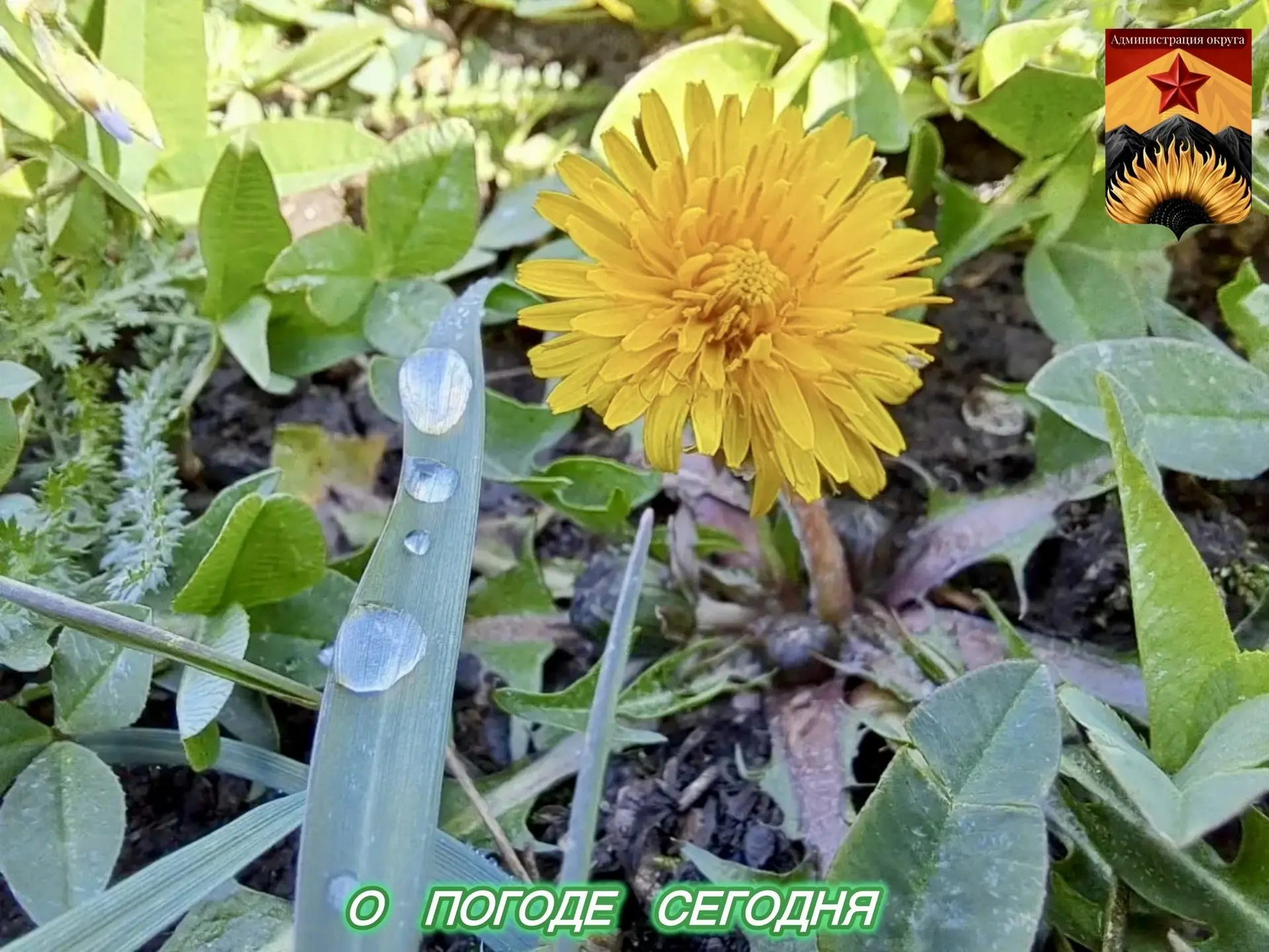 Гидрометцентр сообщил о погоде в Шахтерском округе