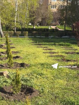 Розы и туи высадили дети возле школы № 46