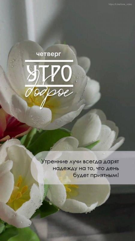 ������ ����!. ��������� ����������, ������� ����������! ����������� ���� �������������