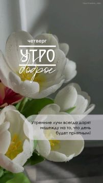Доброе утро!. Чудесного настроения, дорогие подписчики! Официальный сайт администрации