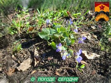 ������������� ������� � ������ � ���������� ������