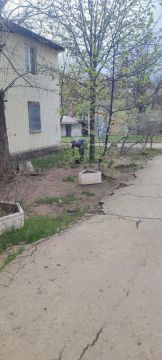 � ��������� ������ ��������� ���������