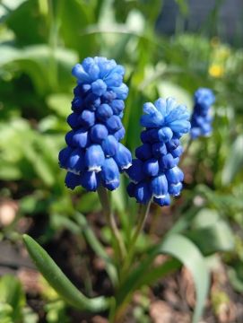 ������������� ��������. 17 ������ ���������� ���������� ����������, ��� ������������ �������